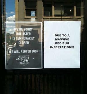 Signs on the front door to Hollister today, courtesy Chris Andrews
